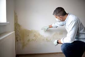 Best Industrial Mold Remediation  in Havelock, NC